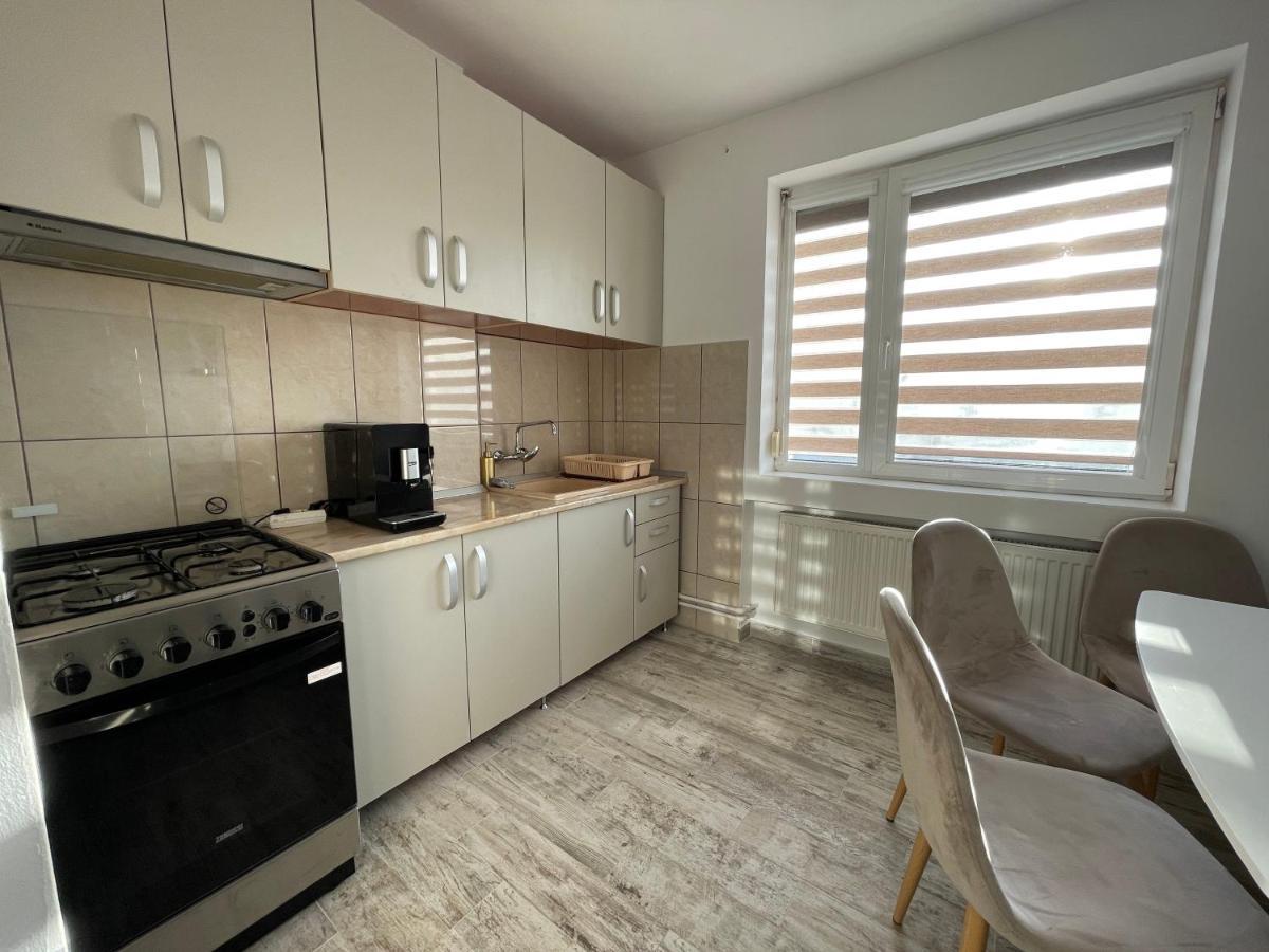 Tei Apartment - Lucian Blaga Satu Mare Eksteriør bilde